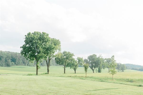 The Granary at Valley Pike Farm Market