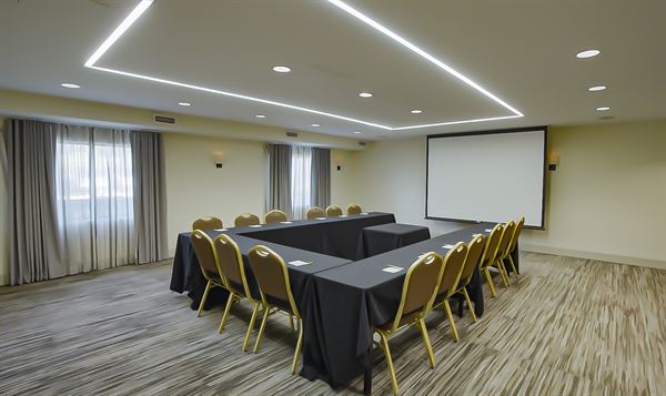 Holiday Inn Irving-Las Colinas