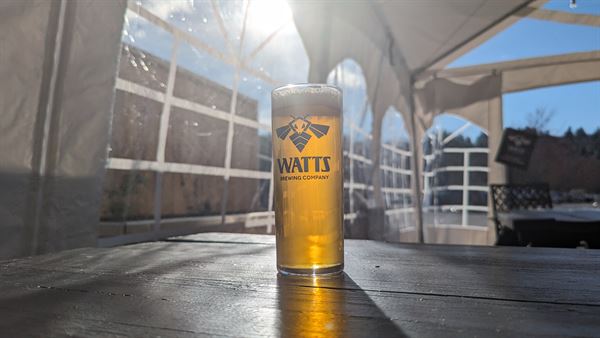 Watts Brewing Company