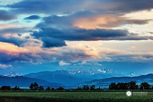 Rockin' TJ Ranch Weddings and Special Event Venue