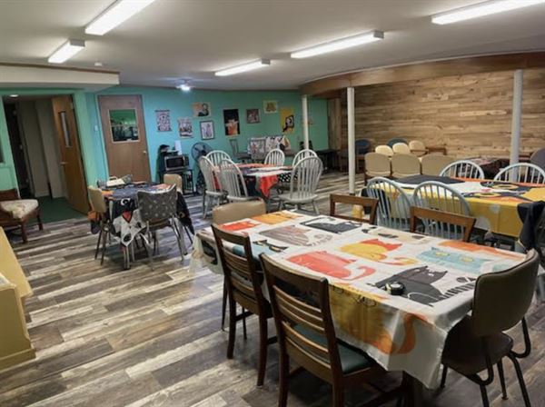 Mr. Kitty's Cat Cafe