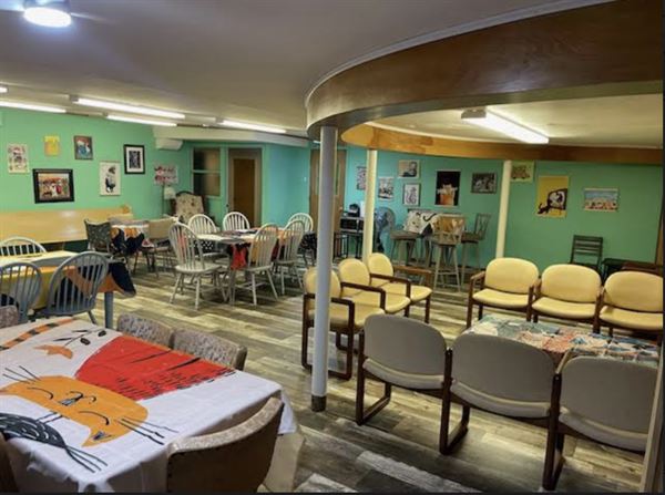 Mr. Kitty's Cat Cafe