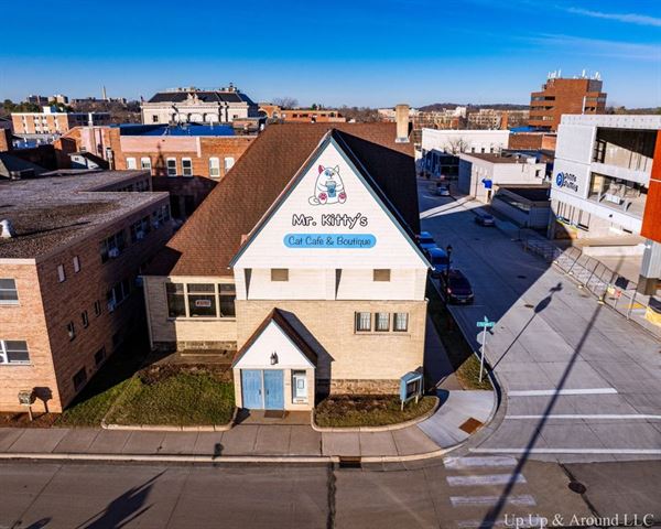 Mr. Kitty's Cat Cafe