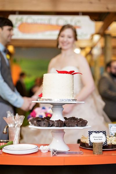 Events at Hands On Children's Museum