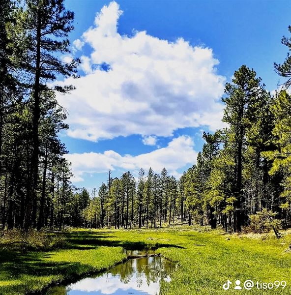 Edelweiss Resort Greer