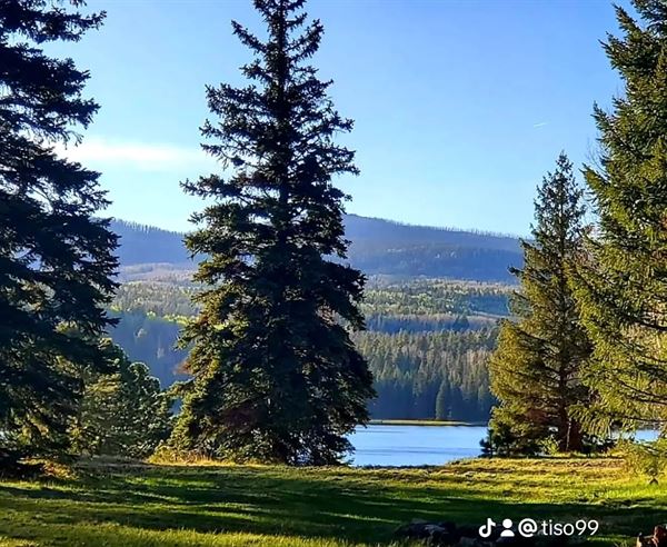 Edelweiss Resort Greer