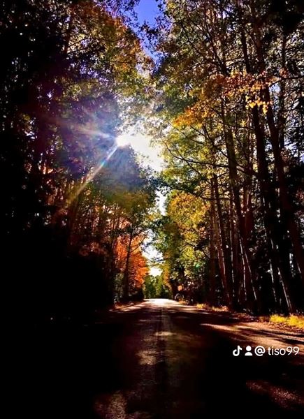 Edelweiss Resort Greer