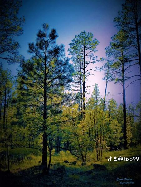 Edelweiss Resort Greer