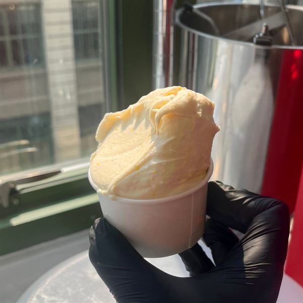 Common Meadows Creamery