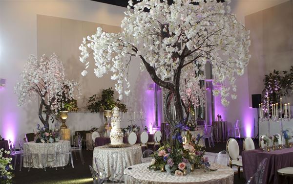 The Charlotte Museum Of History