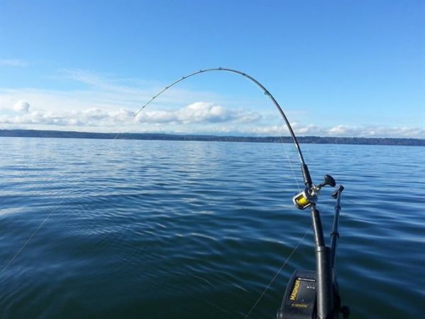 All Star Seattle Fishing Adventures & Charters