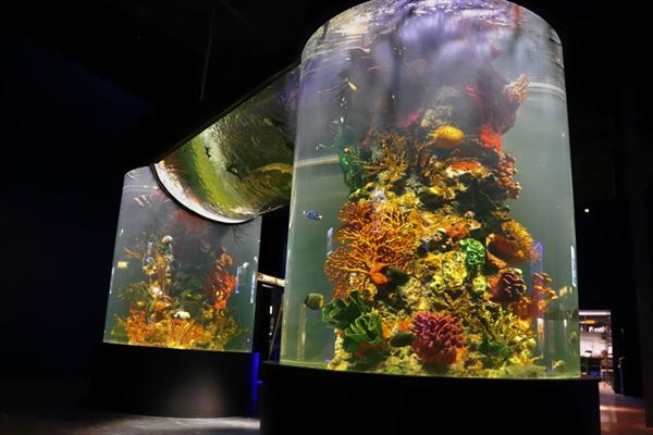 Daytona Aquarium and Rainforest Adventure