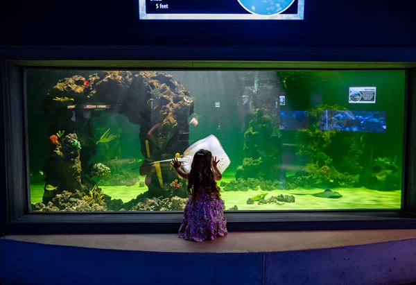 Daytona Aquarium and Rainforest Adventure