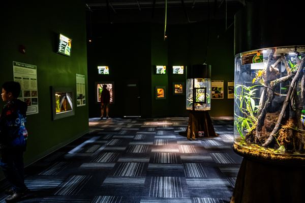 Daytona Aquarium and Rainforest Adventure