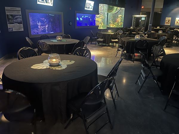 Daytona Aquarium and Rainforest Adventure