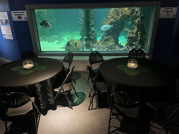 Daytona Aquarium and Rainforest Adventure