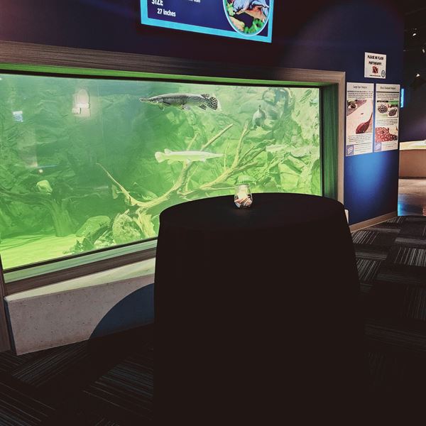 Daytona Aquarium and Rainforest Adventure