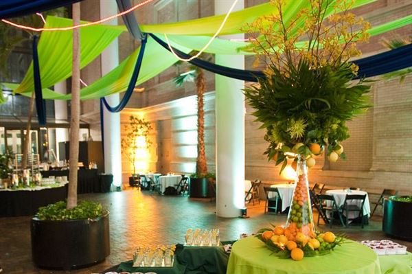 Denver Museum of Nature & Science