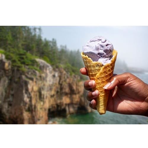 Maine Coast Creamery