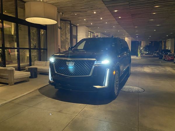 Apex International Transportation