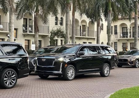 Apex International Transportation