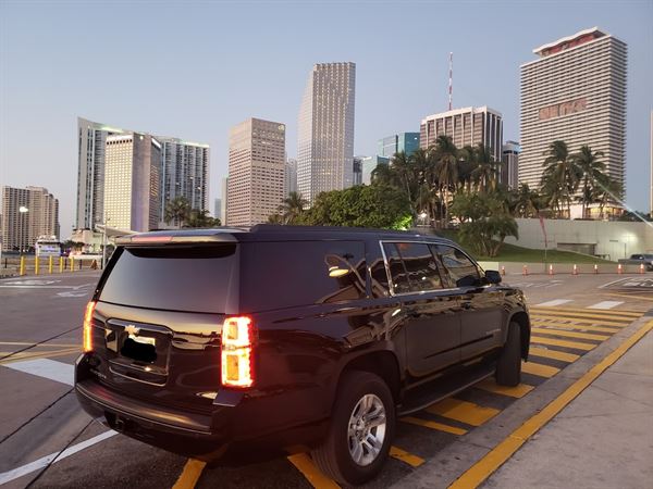 Apex International Transportation