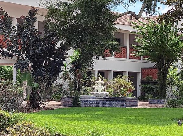 Sweet Surrender Yoga & Holistic Wellness