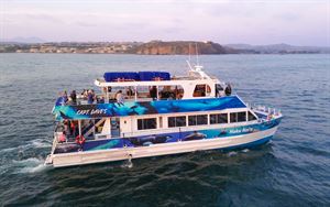 Upscale Power Catamaran Hoku Nai'a