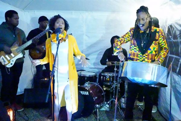 DoMo the Jack of All Trades