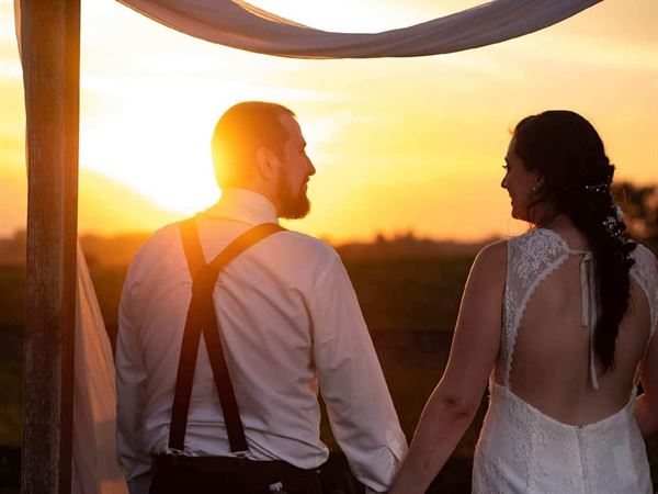 Willow Wood Farm LLC