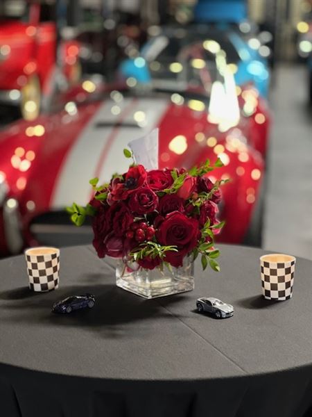 Veloce Motors The Vault-Miramar