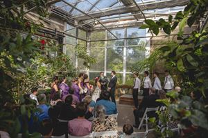 Wings of the Tropics