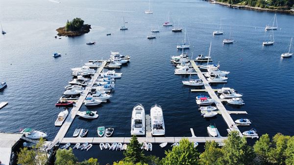 Shining Waters Marine