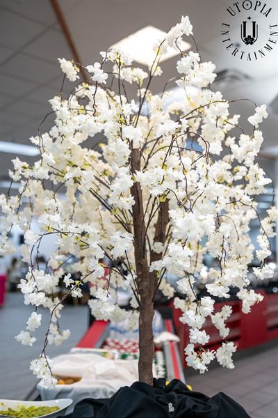 Utopia Entertainment LLC