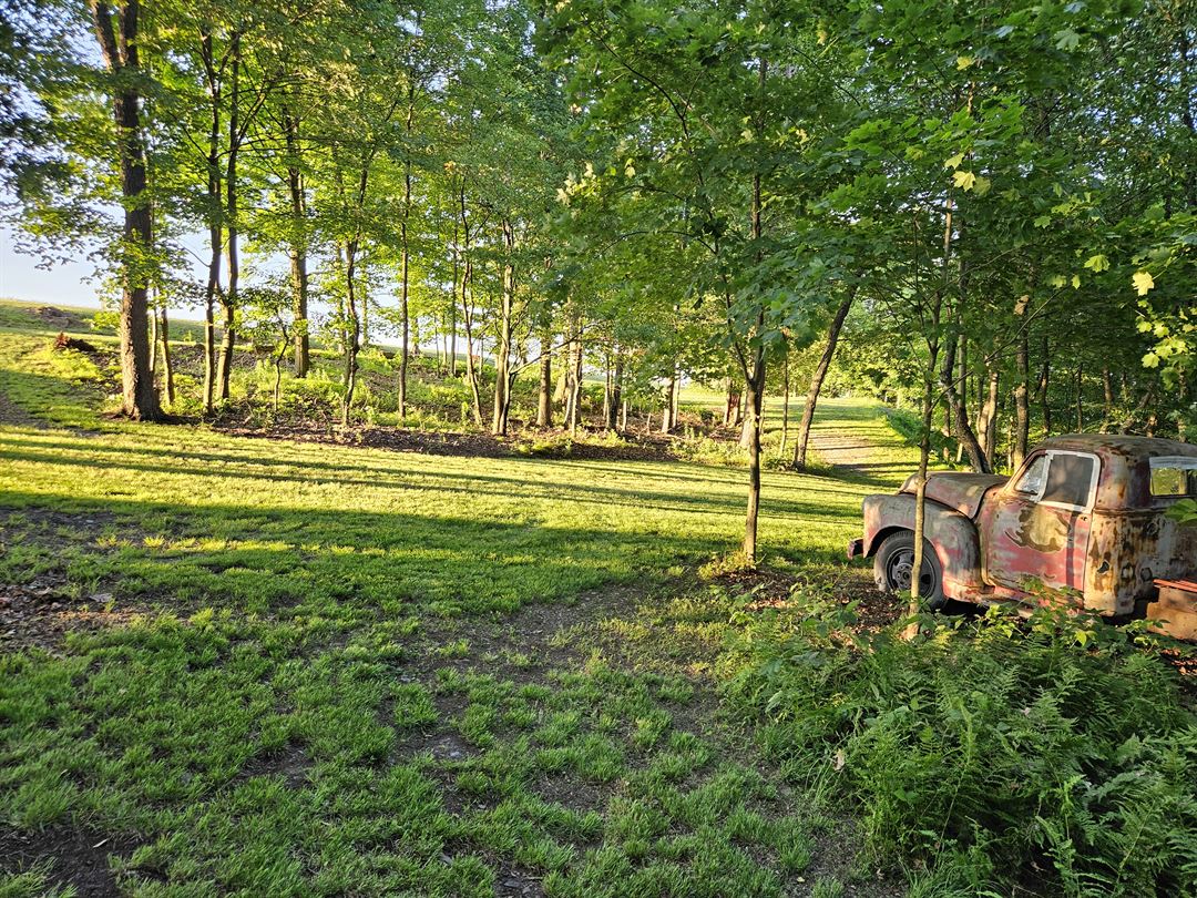 Mountain View Barn Weddings, photo 6