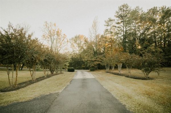 Magnolia Creek Events