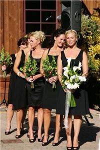 Bella Design & Planning - Aspen