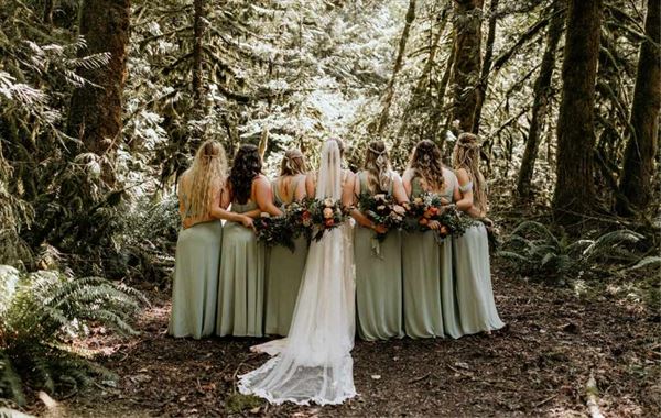 Chestnutsprings Cidery