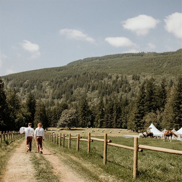 Chestnutsprings Cidery