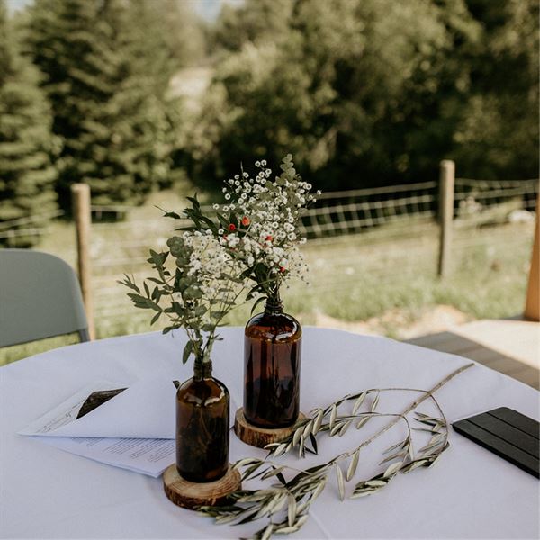 Chestnutsprings Cidery