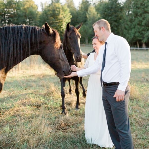Chestnutsprings Cidery