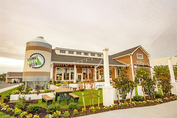 Thompson Island Brewing Company