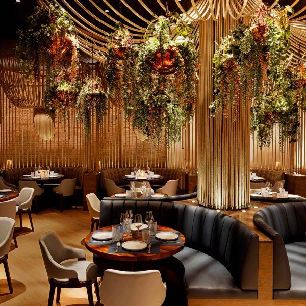 Mission Ceviche Union Square