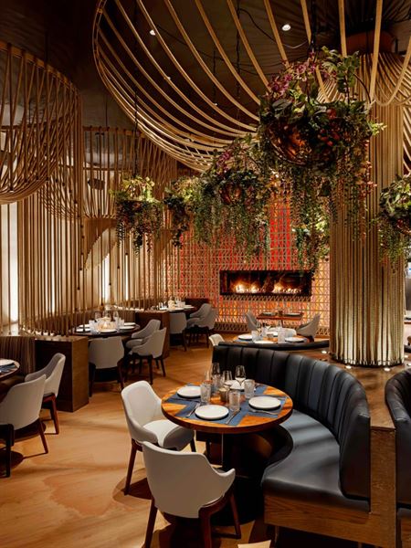 Mission Ceviche Union Square