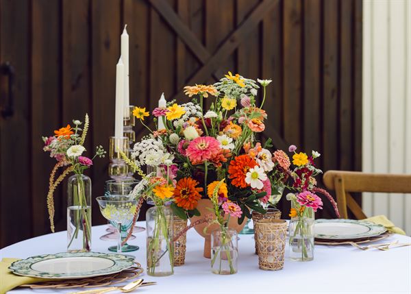 Taste & Design Catering