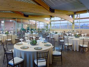 Garden Terrace & Patio