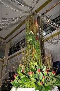 Peacock Marketing Group, LLC. - Fort Lauderdale