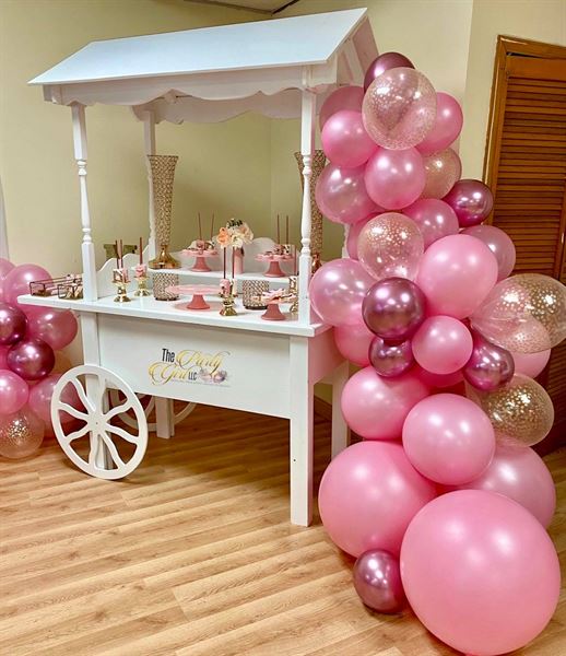 The Party Girl LLC Venue