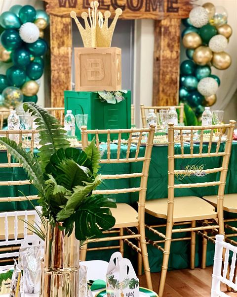 The Party Girl LLC Venue