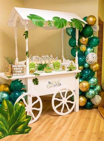 The Party Girl LLC Venue